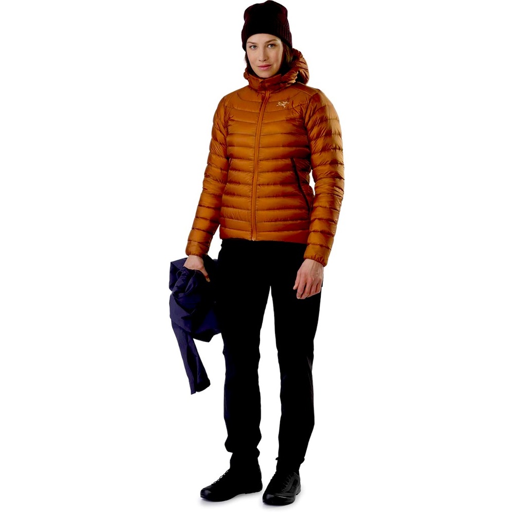 ISO Arc’teryx Cerium LT Hoody